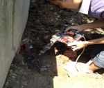 綿竹什邡市煙草公司宿舍